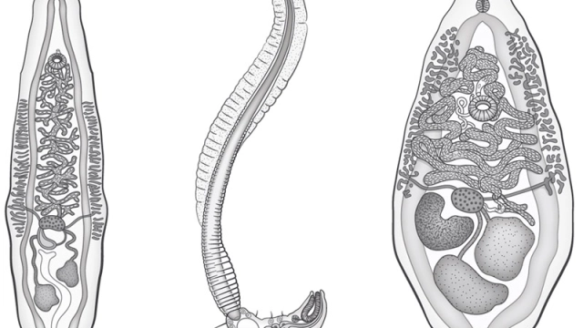 Полезная информация