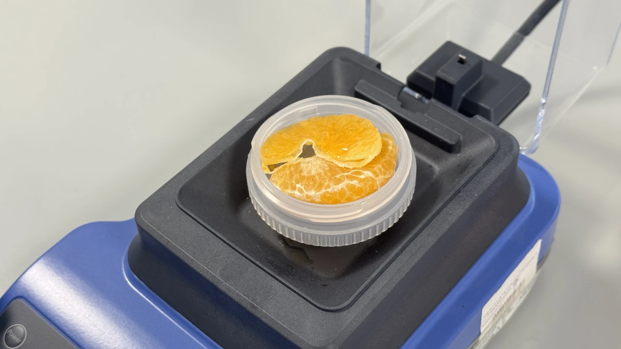 Мандарины зимой: простой разговор о качестве и безопасности 