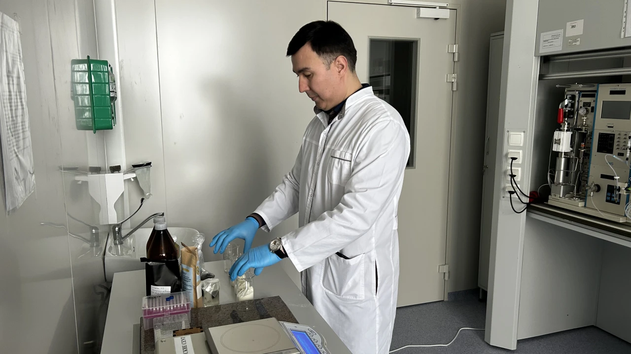 Экологическая безопасность: влияние диоксинов на здоровье человека 