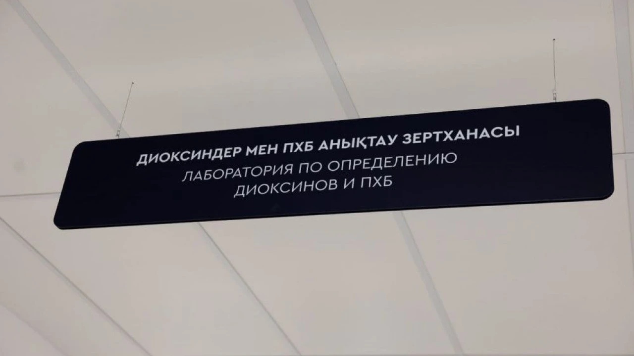 Диоксины и ПХБ: как столичные учёные выявляют опасные токсины? 