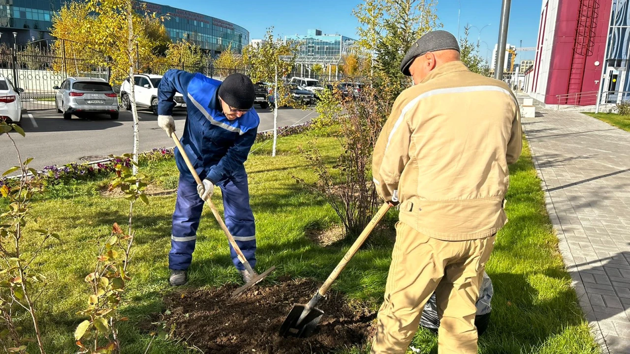 «Таза Қазақстан» акциясы 