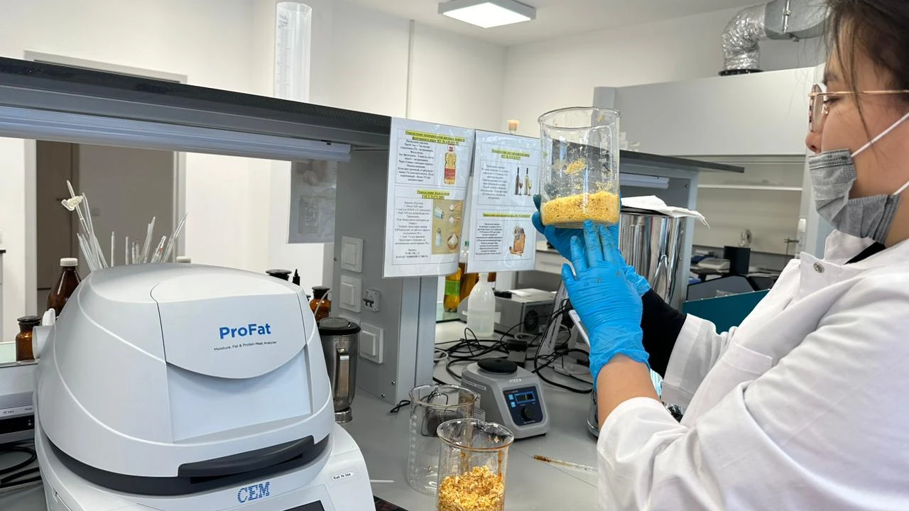 Проверка лапши быстрого приготовления на тяжёлые металлы 