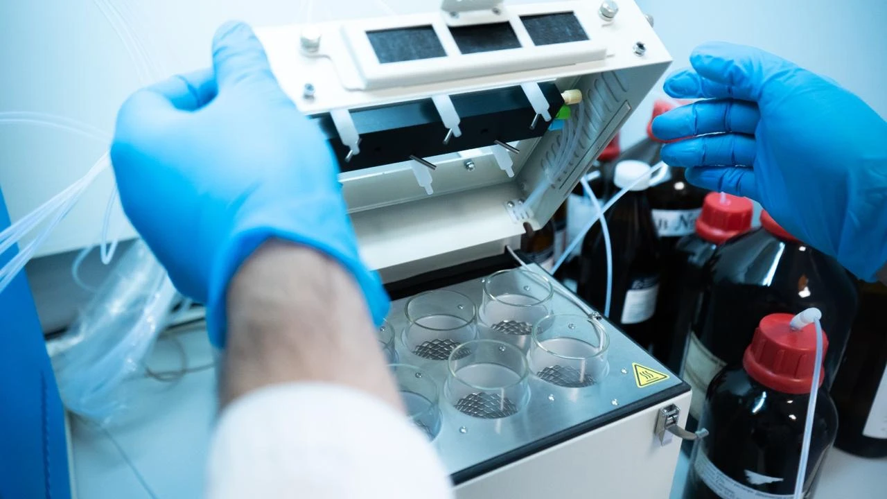 Незаметная угроза: стойкие химические загрязнители и их влияние на окружающую среду 