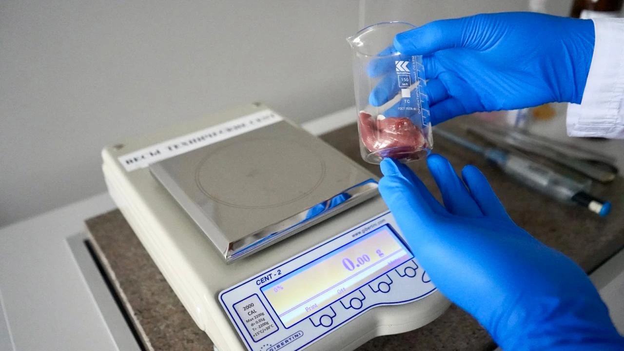 Незаметная угроза: стойкие химические загрязнители и их влияние на окружающую среду 