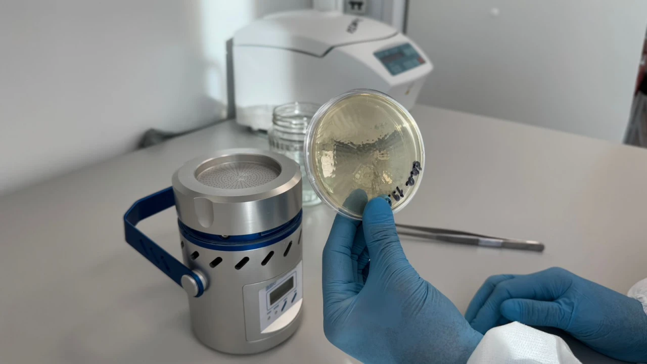 Ауаның санитариялық-микробиологиялық көрсеткіштері: маңызы және бақылау жүйесі 