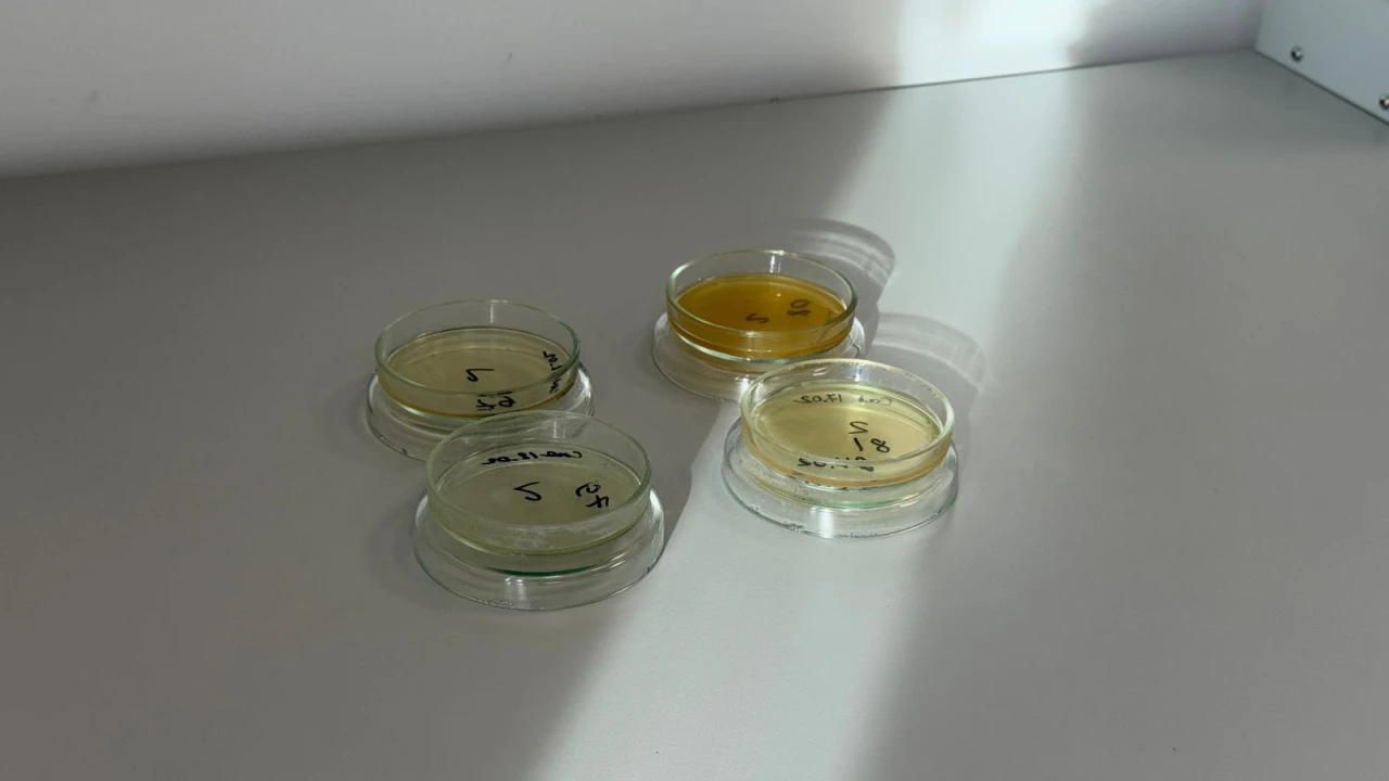 Ауаның санитариялық-микробиологиялық көрсеткіштері: маңызы және бақылау жүйесі 