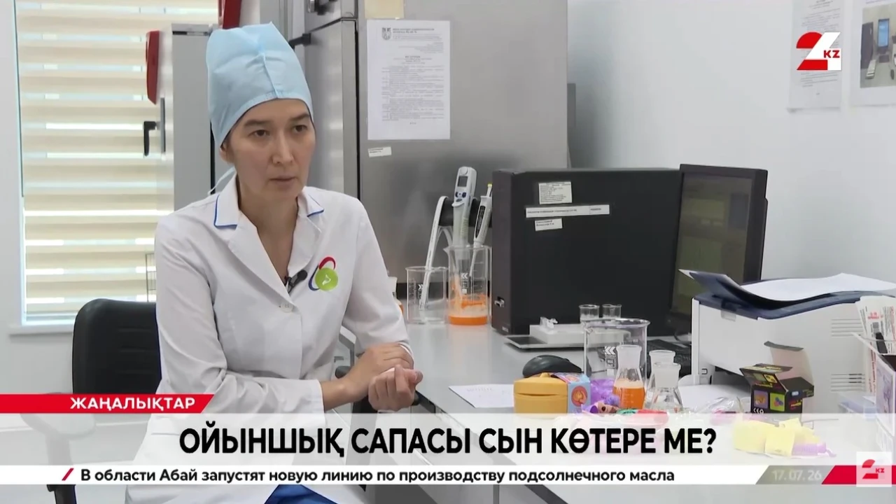 Ойыншықтардағы улы заттар: балаларға арналған ойыншықтарды таңдағанда нені ескеру керек 