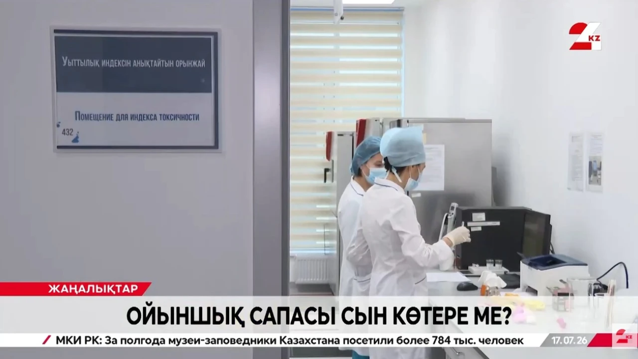 Ойыншықтардағы улы заттар: балаларға арналған ойыншықтарды таңдағанда нені ескеру керек 