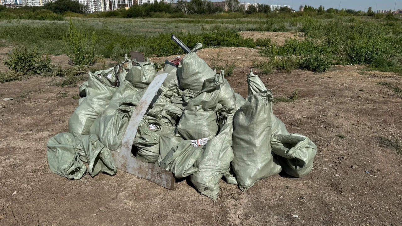 Таза қалаға қосқан үлесіміз 